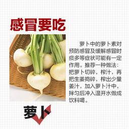 感冒吃乳瓜,轻松应对感冒困扰