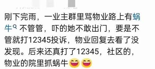 同城闲聊吃瓜群,吃瓜群众的欢乐盛宴