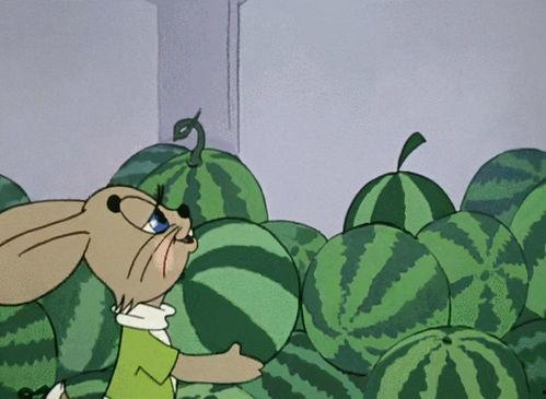 吃瓜震惊炸裂的图片,炸裂瞬间，真相揭晓！