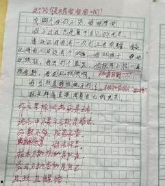 拒绝吃瓜作文800,坚守独立思考，远离是非纷扰