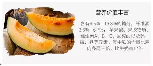 布丁鼠吃瓜,一场味蕾与自然的邂逅