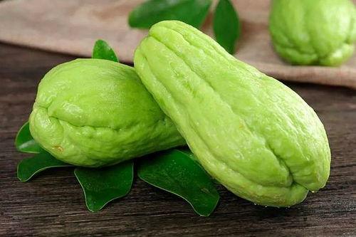 早孕可以吃茄瓜,茄瓜的营养与食用指南