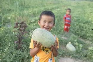 吃瓜的月儿,揭秘吃瓜的月儿背后的故事