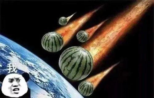 吃瓜的文案搞笑句子,那些让人捧腹的吃瓜文案