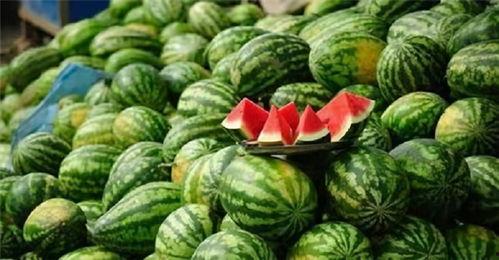 学校石像后面吃瓜,瓜香四溢的校园轶事