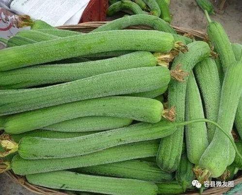 吃瓜群众信息差,吃瓜群众如何捕捉信息差，洞察明星幕后