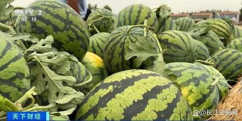 都在吃瓜,揭秘娱乐圈的“吃瓜”现象