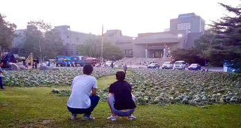 美院吃瓜事件,一场吃瓜引发的校园热议