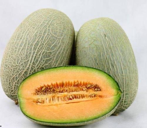 吃哈密瓜会长多少斤啊,吃多少能增重多少斤？