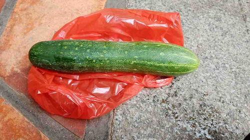 生蓝瓜可吃吗怎么吃,生蓝瓜的食用方法与安全性解析