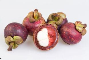 禾野玫瑰吃瓜,揭秘娱乐圈的“吃瓜”风云