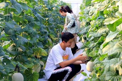 国庆期间吃瓜,盘点那些年我们一起“瓜”过的欢乐时光