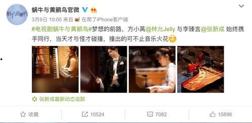 张新成追星吃瓜,揭秘明星背后的娱乐江湖