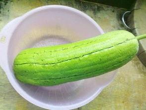 吃100克水瓜,揭秘其神奇养生功效