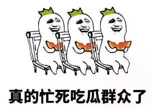 瓜娃子没有瓜吃争取明年吃西瓜,奋斗在希望的田野上