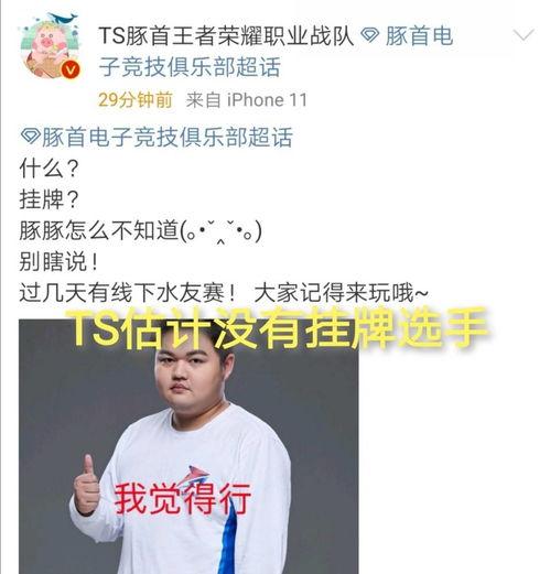 吃瓜群众kpl,吃瓜群众视角下的KPL电竞风云录