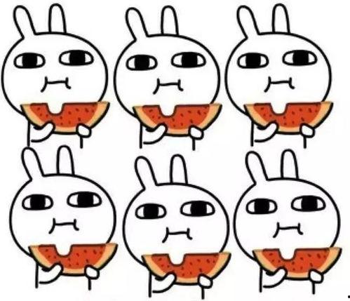 的吃瓜游戏傻瓜呆瓜,傻瓜与呆瓜的欢乐对决