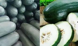 瓜吃瓜没瓜吃,从“瓜吃瓜没瓜吃”看人生百态