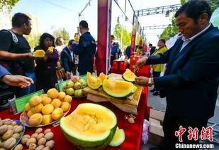 金乡最新吃瓜新闻,最新吃瓜新闻揭秘！