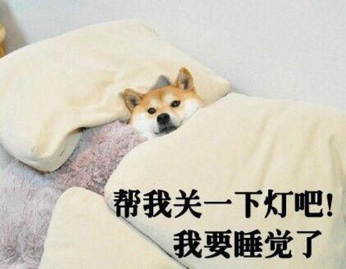 上班吃瓜下班回家,揭秘职场与生活的微妙平衡