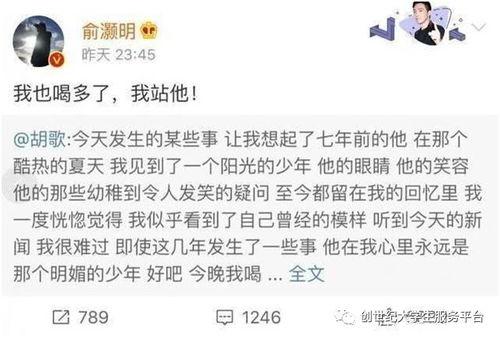 吃瓜大赛提纲,一场全民参与的美食盛宴