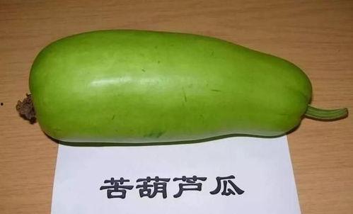 吃瓜带苦味,探寻夏日消暑美食的奇妙口感