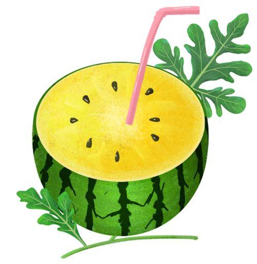 吃瓜王的头像,揭秘网络红人的瓜田传奇